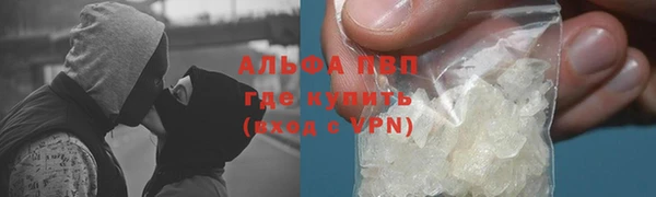 хмурый Алексин