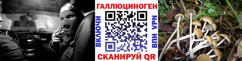 Купить где  Дубна  Галлюциногенные грибы ЛСД 