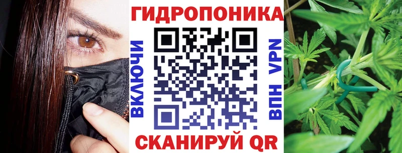 Купить закладки  Дубна  Марихуана сатива 